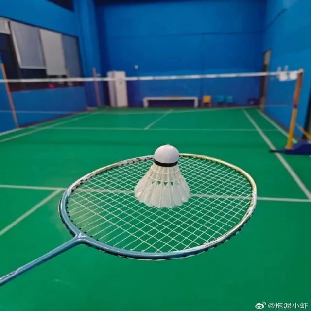 张之臻表现出色成功晋级下一轮